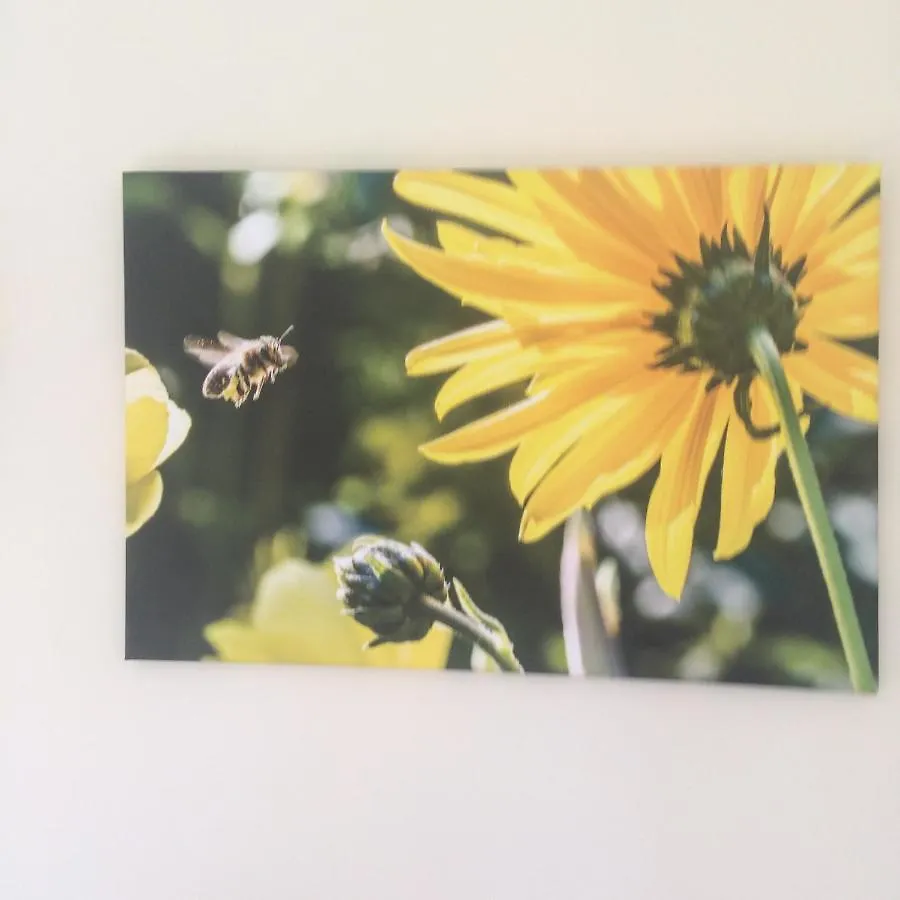 Bumblebee 다트머스