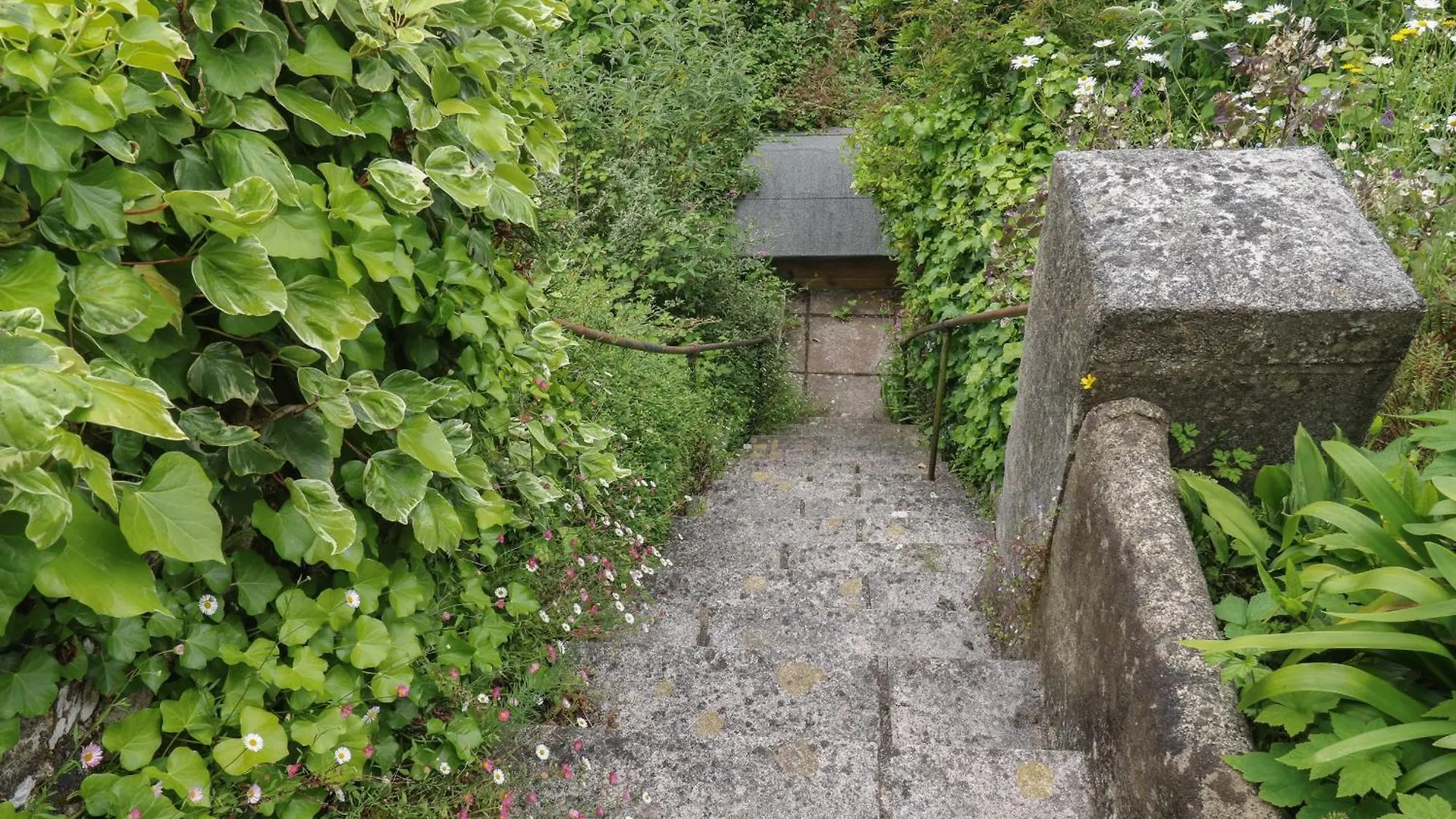 High Mount * Dartmouth