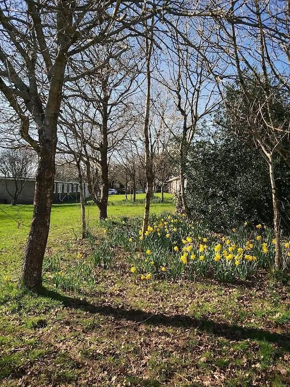 Caldon Sleeps 4 In Wifi Electric Inc Pet Friendly Διαμέρισμα