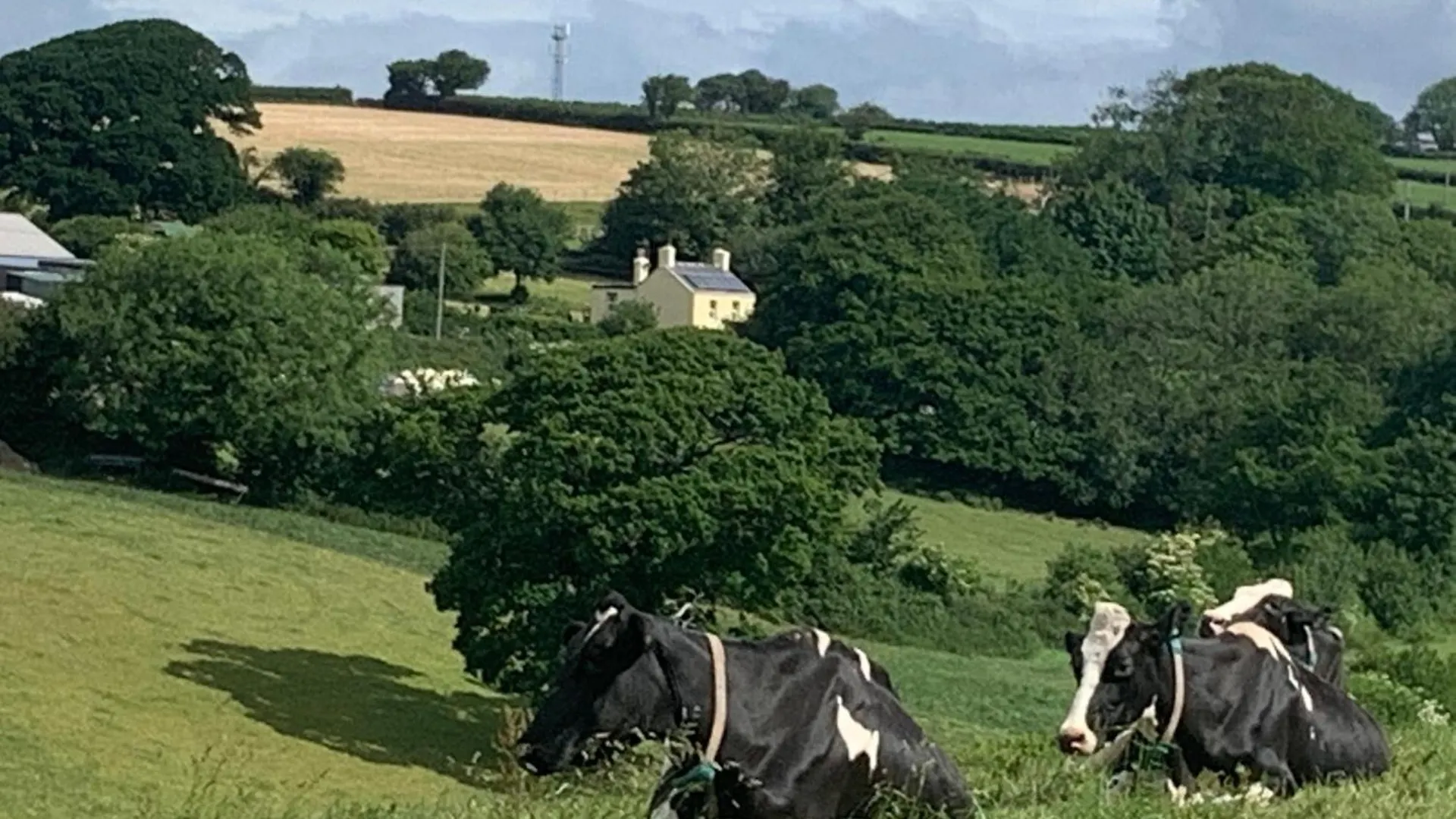 Clotted Cream Cottage: Countryside Calm: Close To Beach: Dartmouth: Devon Holiday home Dartmouth