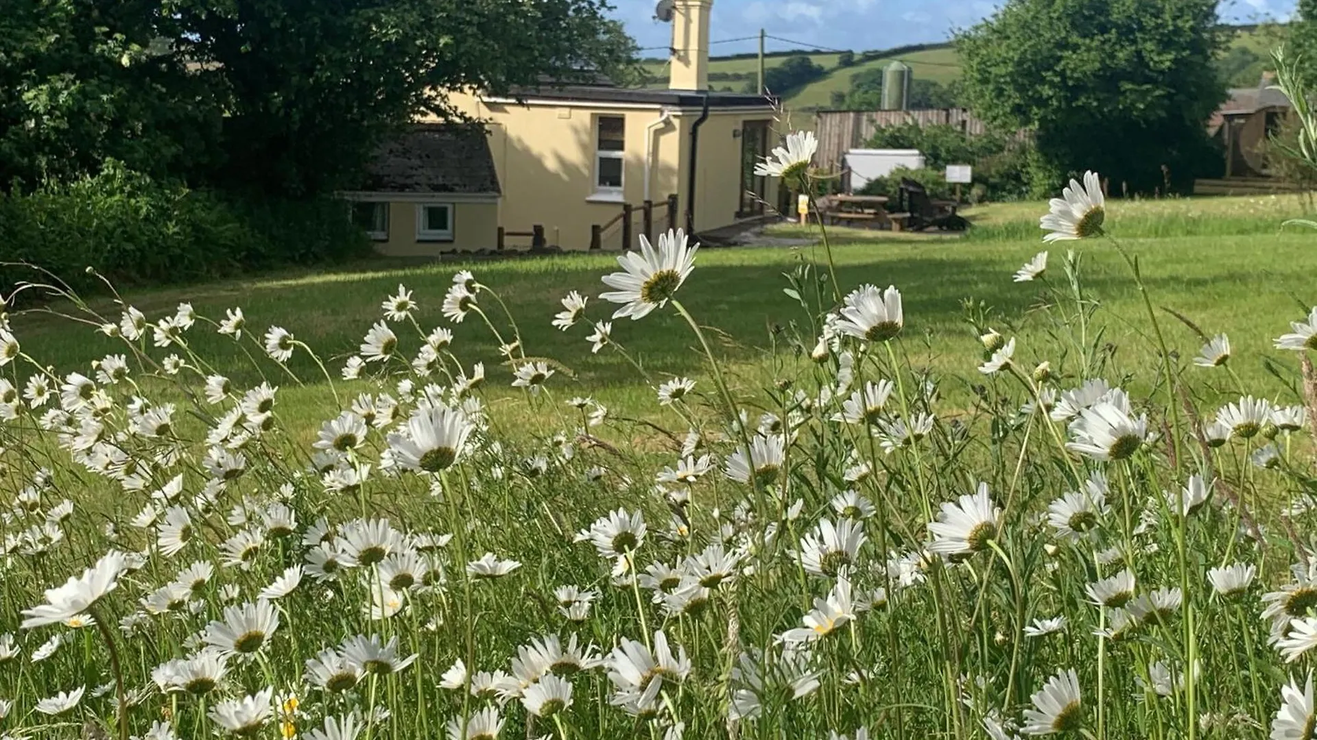 Clotted Cream Cottage: Countryside Calm: Close To Beach: Dartmouth: Devon * Dartmouth