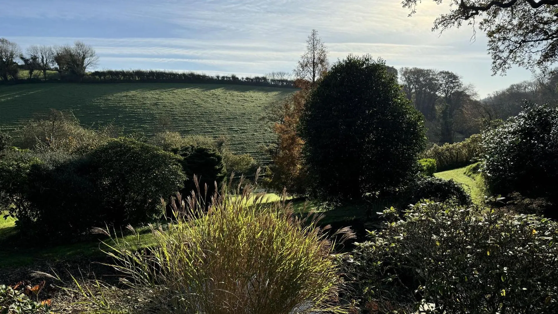 Greenswood - Cosy Cottage, Rural Location, Beautiful Landscaped Gardens With Pond And *