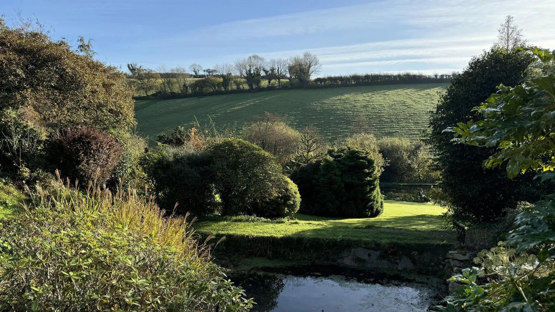 Greenswood - Cosy Cottage, Rural Location, Beautiful Landscaped Gardens With Pond And *