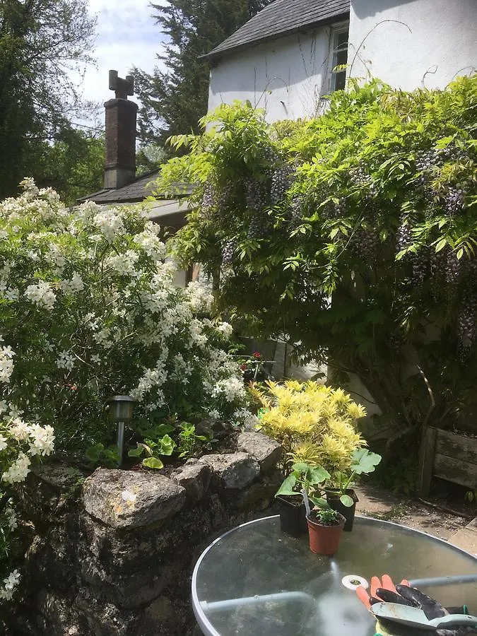 Bed & Breakfast Cobberton Farmhouse
